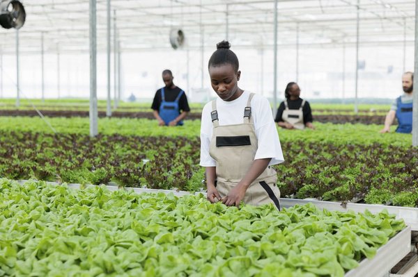 De quoi s'agit-il exactement avec la méthode EFT (Emotional Freedom Techniques) ?