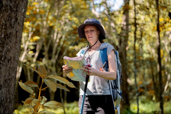 Location utilitaire à marseille : le bon choix pour vos déplacements